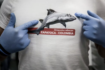 An image of a paleontologist wearing a T-shirt showing Strophodus rebecae, a shark species with flat teeth that lived millions of years ago.